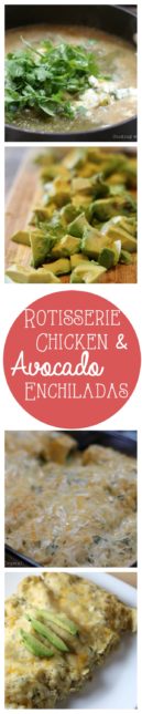 avocado enchiladas+cookingwithcrystal